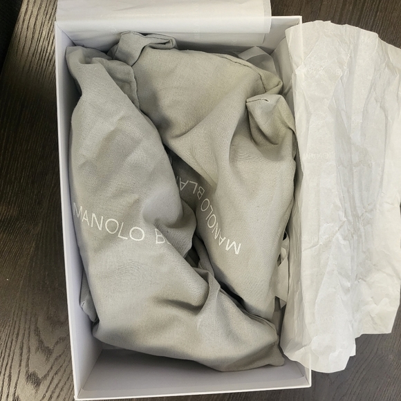 Manolo Blahnik Hangasi 105 Blue Lace - Picture 10 of 10